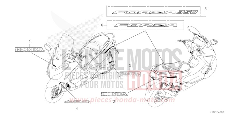 MARKE/EMBLEM von Forza 350 PEARL FALCON GRAY (NHC61) von 2023